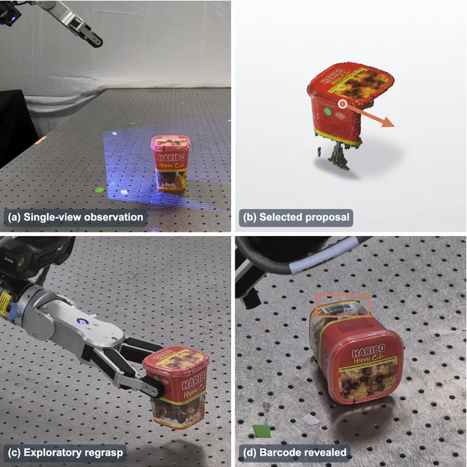 FlipToSee: A Probabilistic Stable Placement Prior for Active Visual Exploration via Regrasping